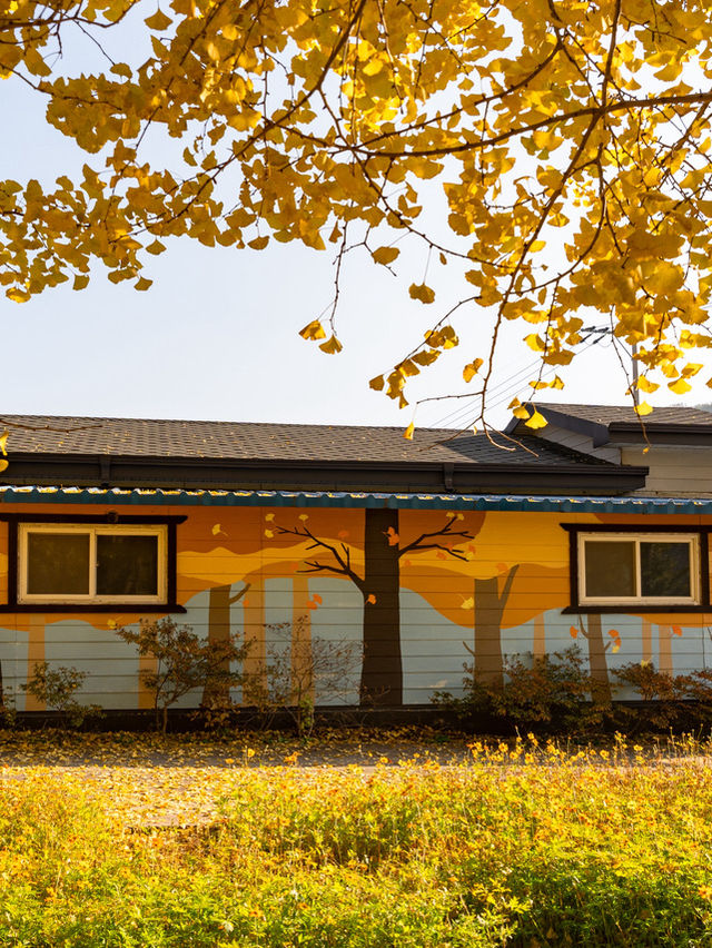 ๊ฒฝ์ฃผ ๋๋ฆฌ๋ง์ ์ํ๋๋ฌด ์ฒ ๊ฒฝ์ฃผ ๋๋ฆฌ๋ง์ ์ํ๋๋ฌด ์ฒ