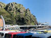 Seaside Christmas🎄