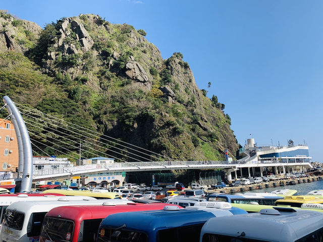 Seaside Christmas🎄 Seaside Christmas🎄