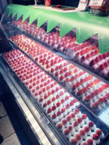 🦁⛩️大阪這顆獅子頭太震撼！難波八阪神社一口吞掉所有厄運！⛩️🦁