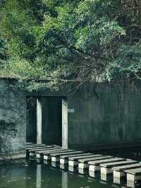 隱藏在市區裏的綠野仙蹤💕深圳(燕晗山郊野公園)治癒祕境