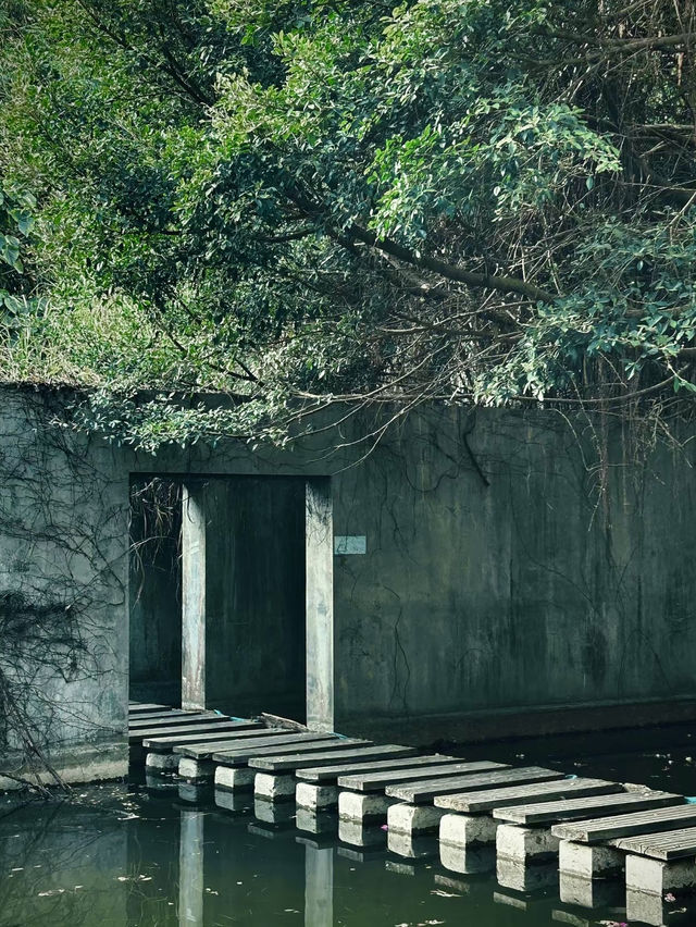 隱藏在市區裏的綠野仙蹤💕深圳(燕晗山郊野公園)治癒祕境 隱藏在市區裏的綠野仙蹤💕深圳(燕晗山郊野公園)治癒祕境