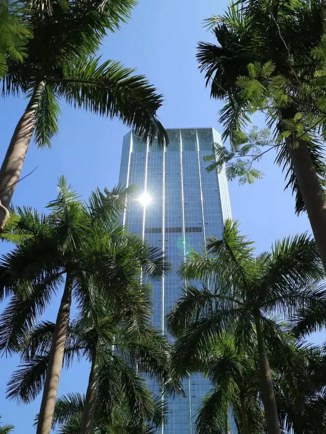 Skyscraper Dreams✨