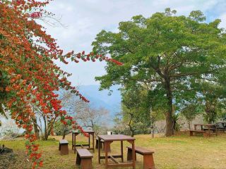 บ้านยกพื้น