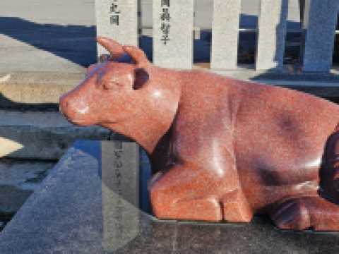 阿蘇火山上的靜謐佛國〔阿蘇山本堂西嚴殿〕