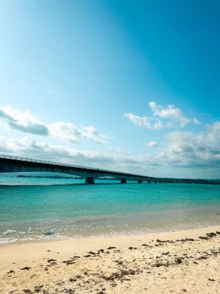 Pay attention to the conservation species, the Mountain Raft, when venturing into the northeastern corner of Okinawa.