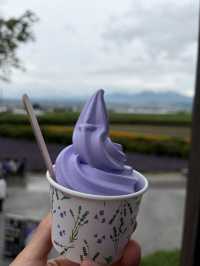 富良野必訪富田農場嘆薰衣草雪糕🍦