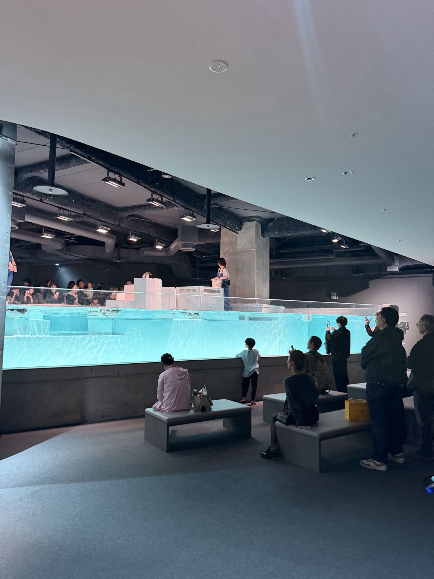 AOAO Sapporo: Where City Vibes Meet Underwater Wonders 🐠🌆