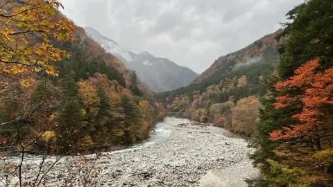 The Ultimate Guide to Autumn Foliage on the Kurobe Gorge Railway. — traveler post in Kurobe
