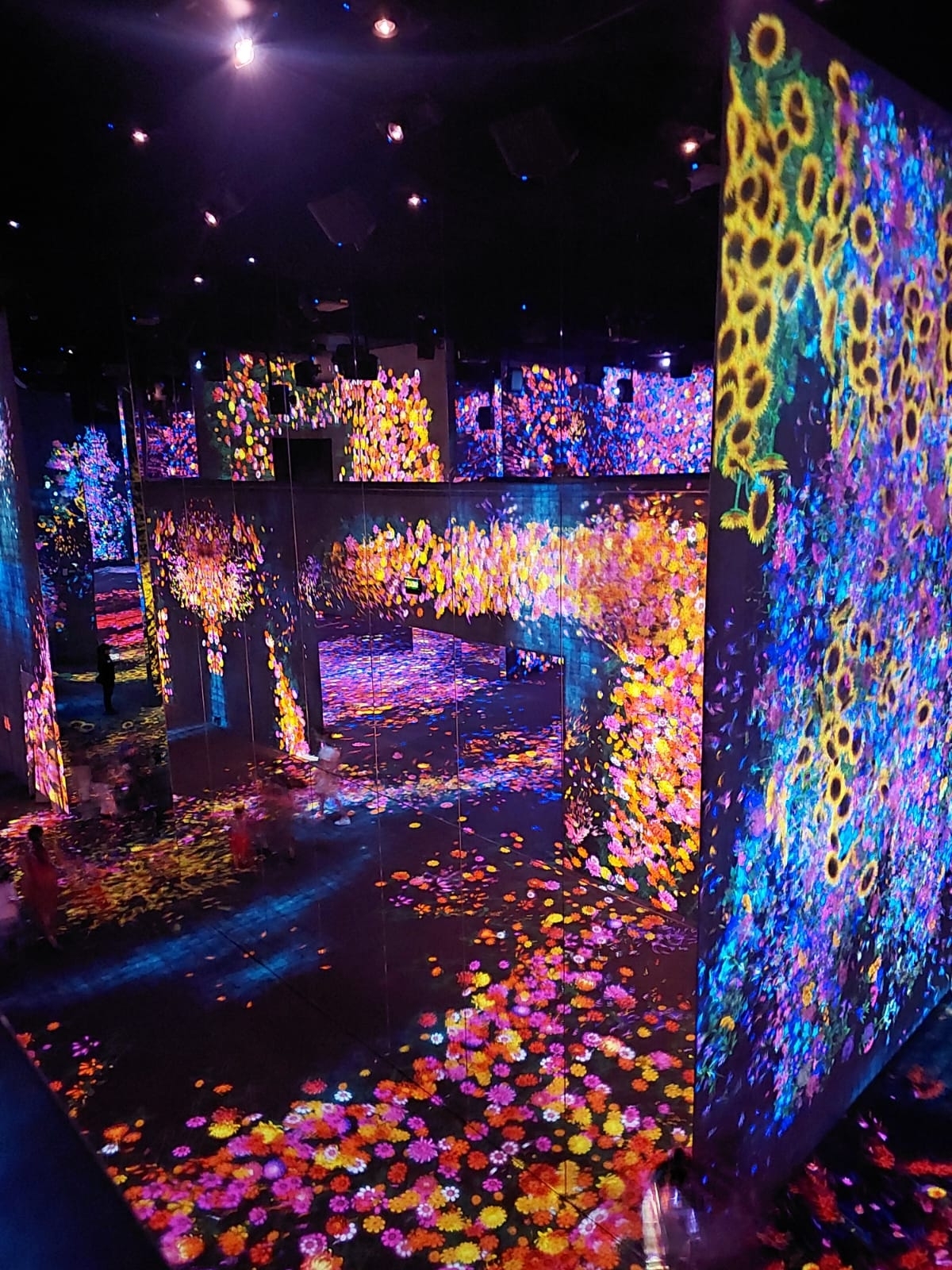 在 teamLab SuperNature 讓您的澳門城市之旅永生難忘！