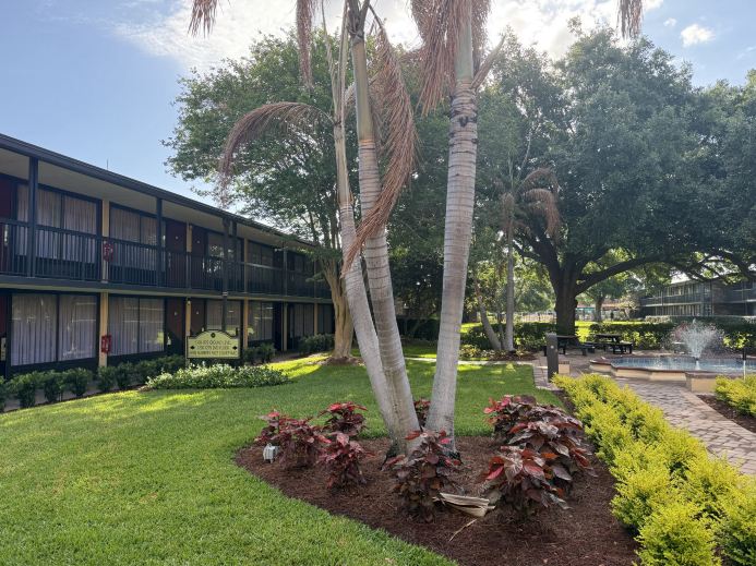 Convenient for visiting Disney and Universal Studios! Comfortable hotels in Orlando 🏨