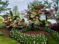 花影醉心：漫步上海植物園的悠然時光