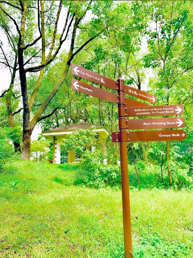 肯特崗公園