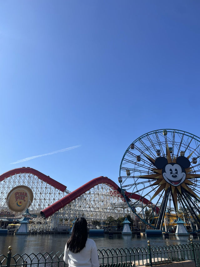 カリフォルニア&ディズニーランド旅行✈️