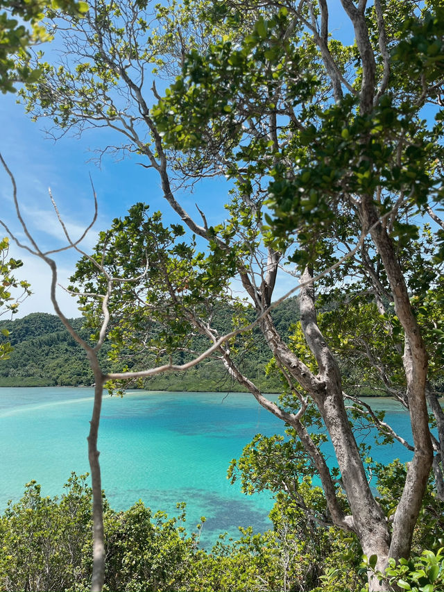 🌴 Paradise Found in El Nido, Philippines 🇵🇭