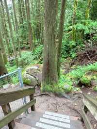 🇨🇦Vancouver근교에 시원하고 맑은 폭포Cascade falls regional park  