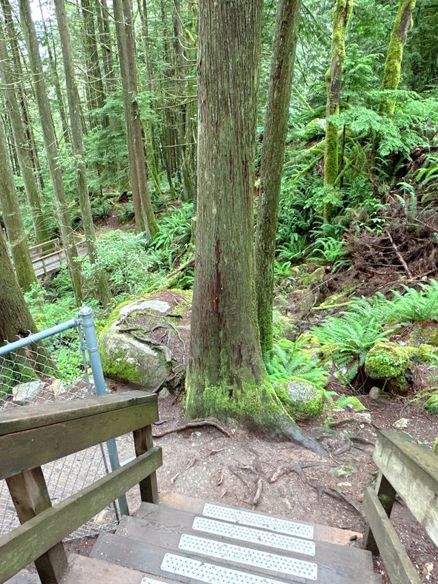 🇨🇦Vancouver근교에 시원하고 맑은 폭포Cascade falls regional park  