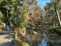 🎋【東京根津美術館 Nezu Museum】都會中的和風秘境🌿｜日式建築＋夢幻庭園＋東洋藝術珍藏｜超值得一訪！