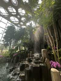 The Shanghai Expo Botanical Garden