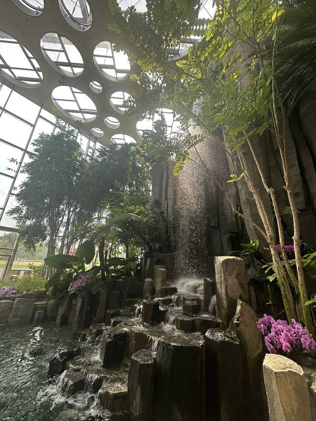 The Shanghai Expo Botanical Garden