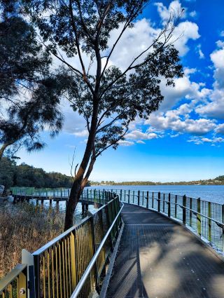 I Did This 8km Sydney Lagoon Walk Without a Car | Narrabeen