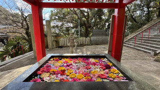 福岡🇯🇵鷲尾愛宕神社、天神夜景