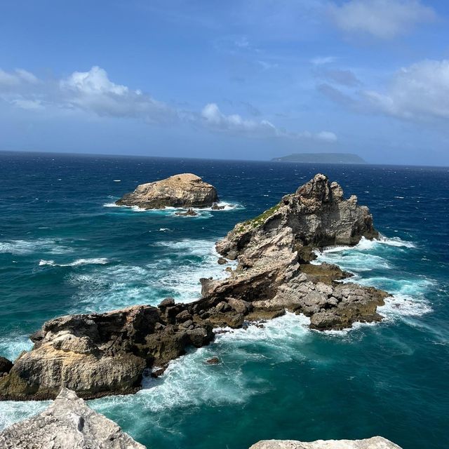 Where Nature Meets Caribbean Beauty