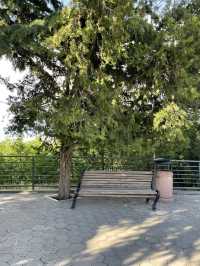 【ジョージア🇬🇪/丘の上の遊園地『ムタツミンダ公園⛲️』】