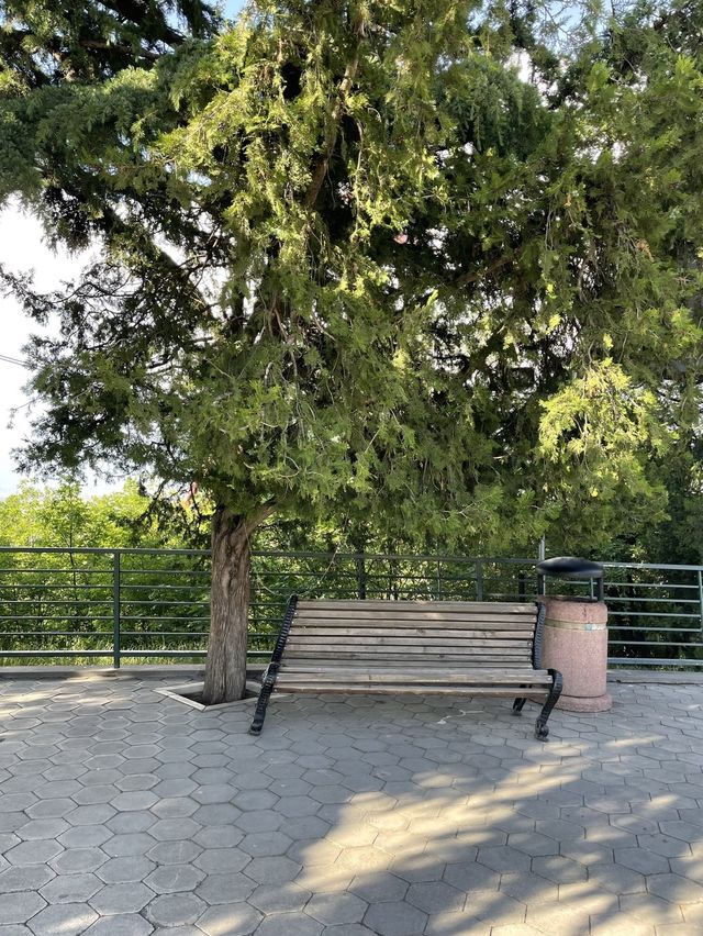 【ジョージア🇬🇪/丘の上の遊園地『ムタツミンダ公園⛲️』】