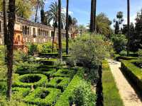 Enchanted Evenings in Seville