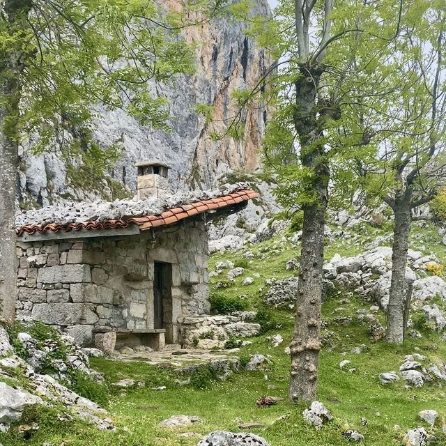 Picos de Europa: Mountain Majesty 🏔️🌄