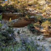 Avakas Gorge Nature Trail 🗺️