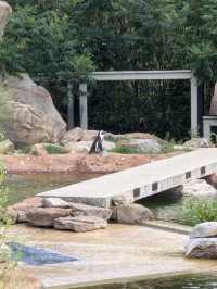 Lehigh Valley Zoo 🇺🇸