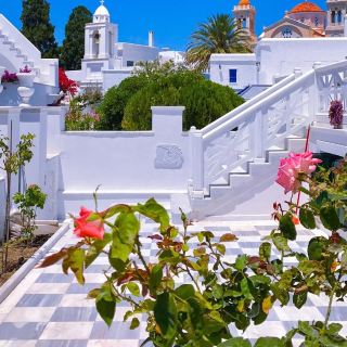 Panormos 😍