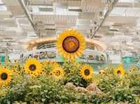 Changi airport sunflower decor 
