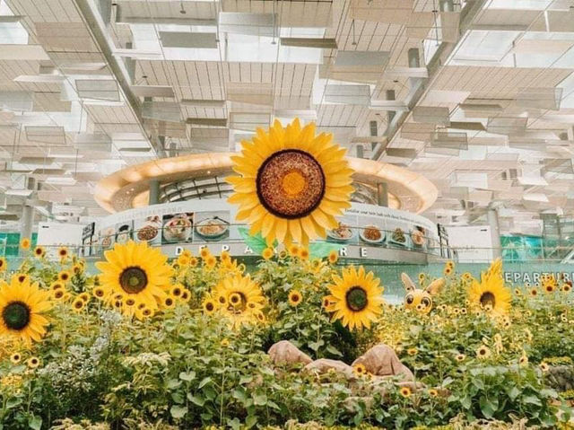 Changi airport sunflower decor 
