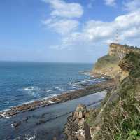 Taiwan’s mysterious stones: Yehliu Geopark