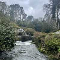 A Welsh wonderland 
