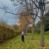 Regent’s Park in Fall: Nature’s Masterpiece Unveiled