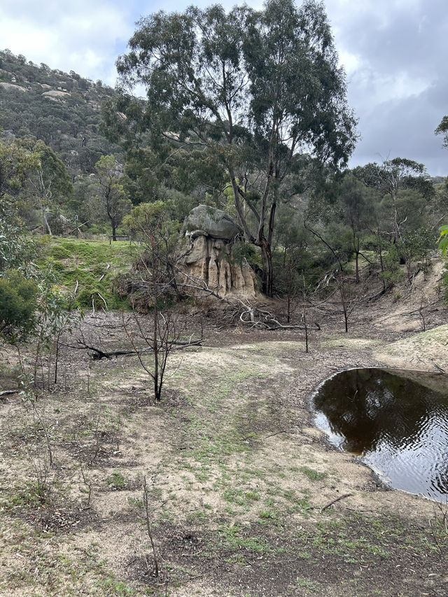 ⛰️🚴 Explore You Yangs Regional Park: Hiking & Biking Among Ancient Granite Peaks