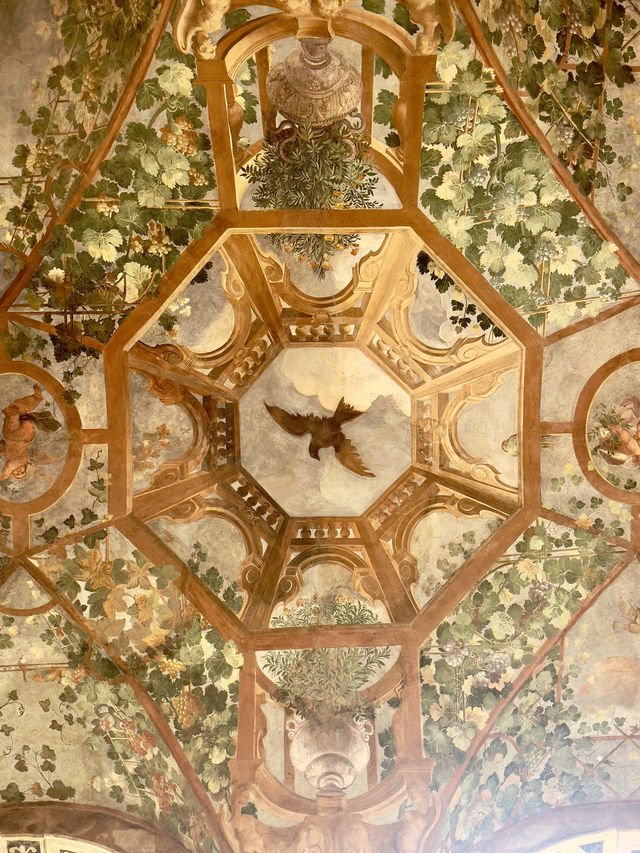 Painted Frescoes at the Palazzo