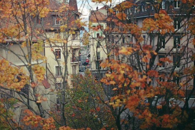 Wandering Through🇨🇭 Geneva in Autumn 🍂🍁