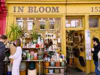 🌸 Columbia Road Flower Market: East London’s Sunday Bloom