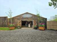 A Lovely Spring Day at Tulley's Tulip Farm, Hatton