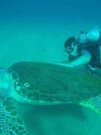 Olympos Marine Park