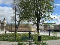 Hidden gem in Stockholm center