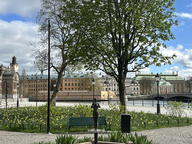 Hidden gem in Stockholm center