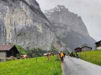 4 Days in Swiss