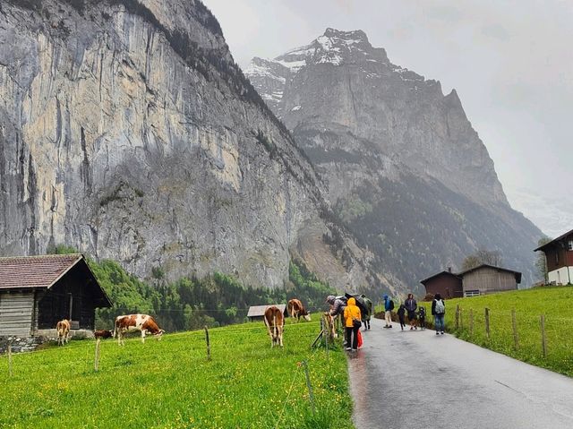 4 Days in Swiss