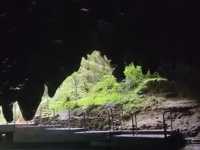 紐西蘭北島坐竹筏看藍光蟲洞